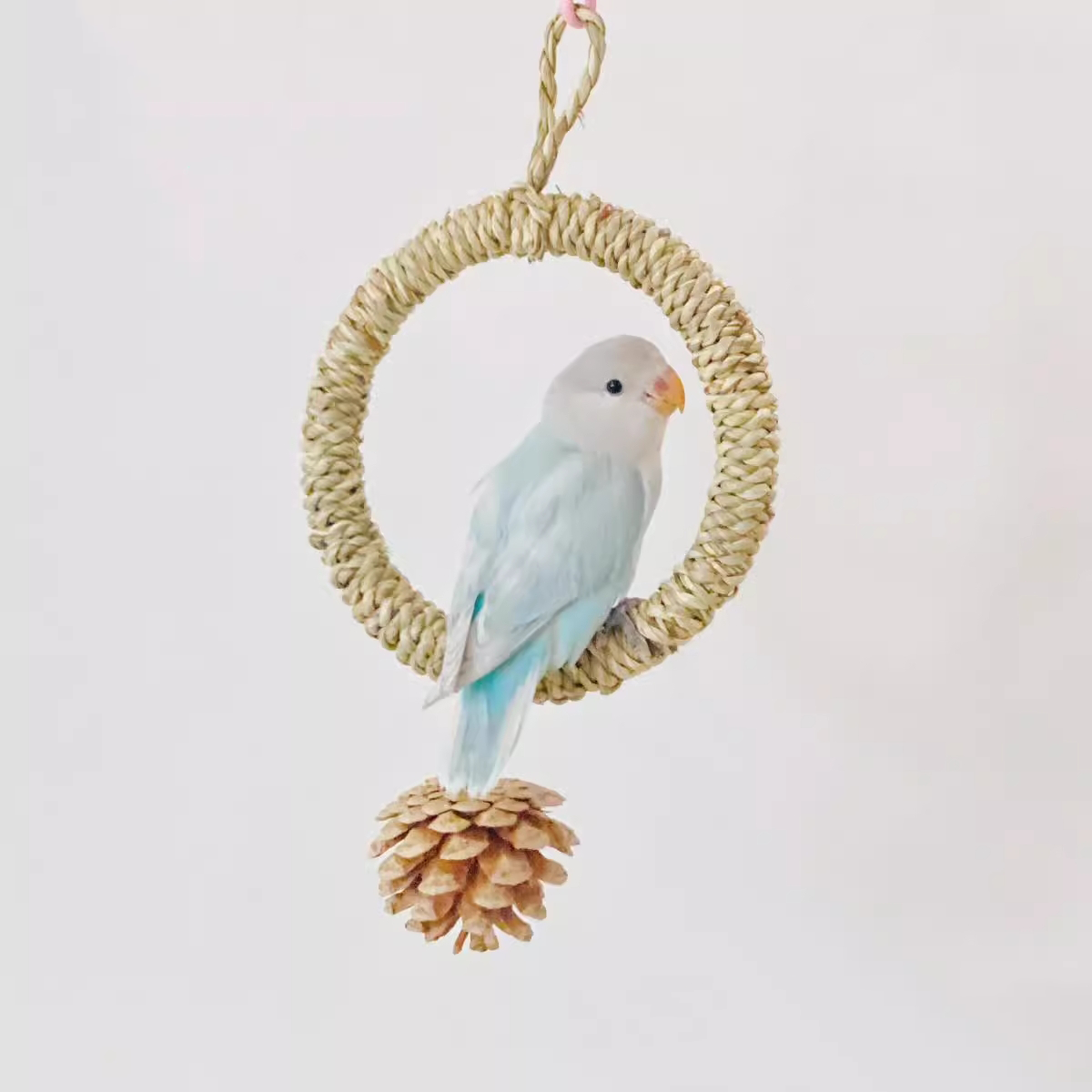 HommiFun Natural Swing Perch
