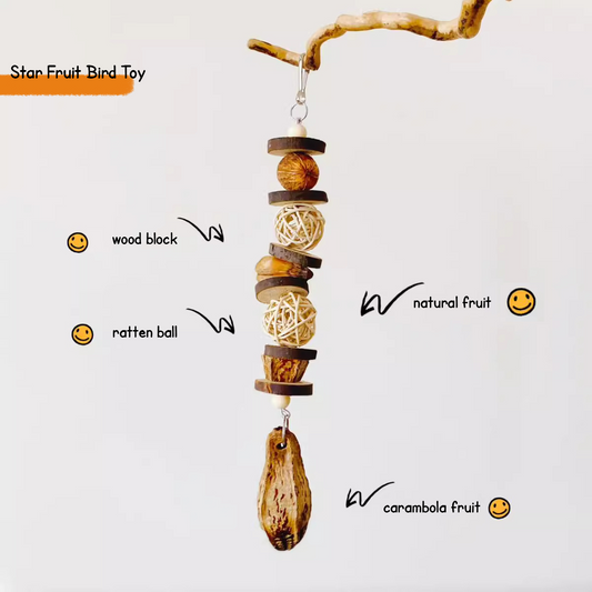 HommiHarvest Carambola Carousel