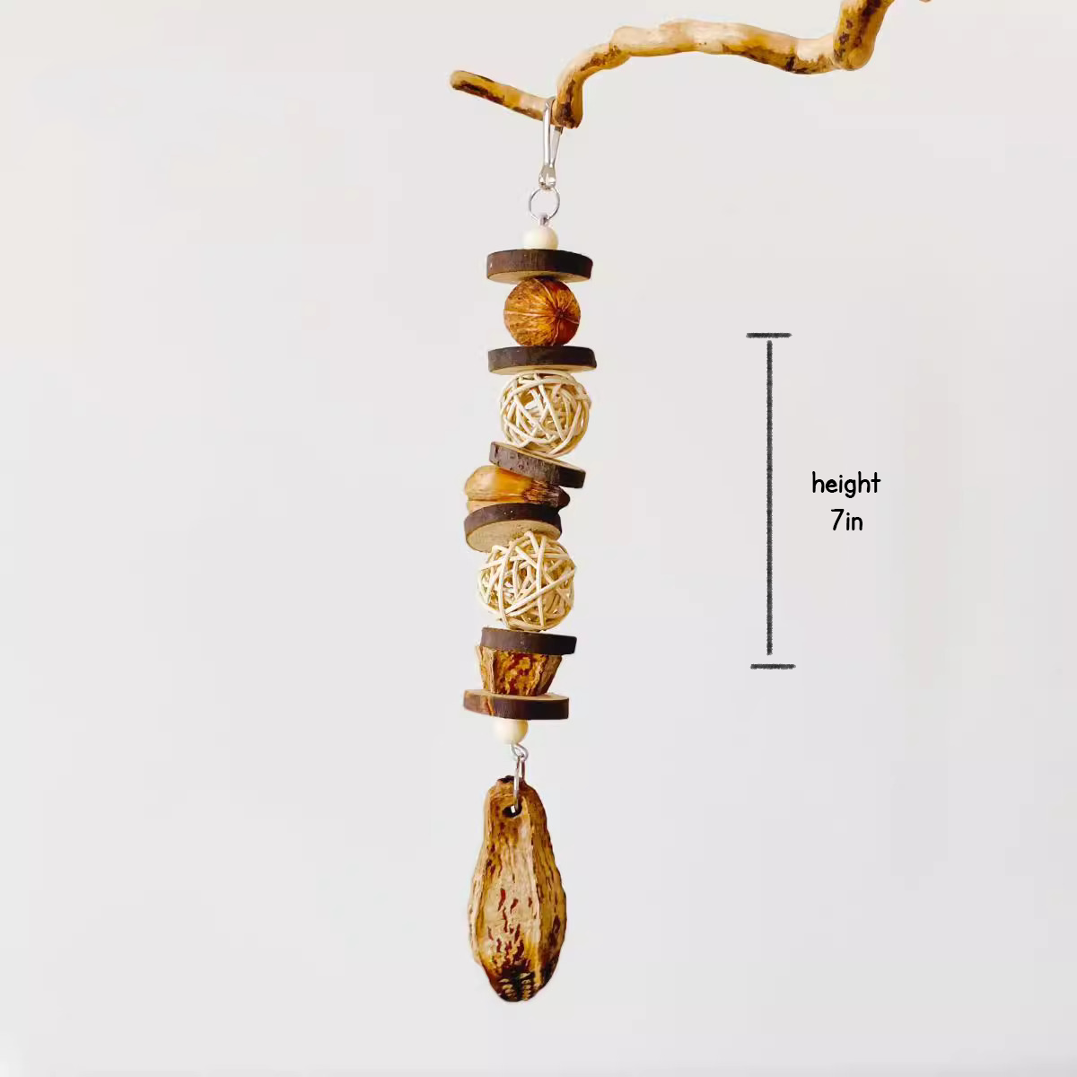 HommiHarvest Carambola Carousel